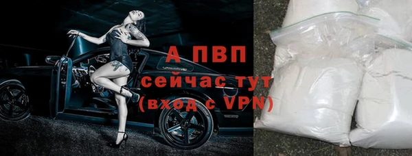 винт Арсеньев