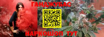 тгк Новодвинск