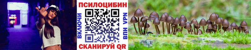 гидра ONION  Усть-Джегута  Псилоцибиновые грибы прущие грибы 
