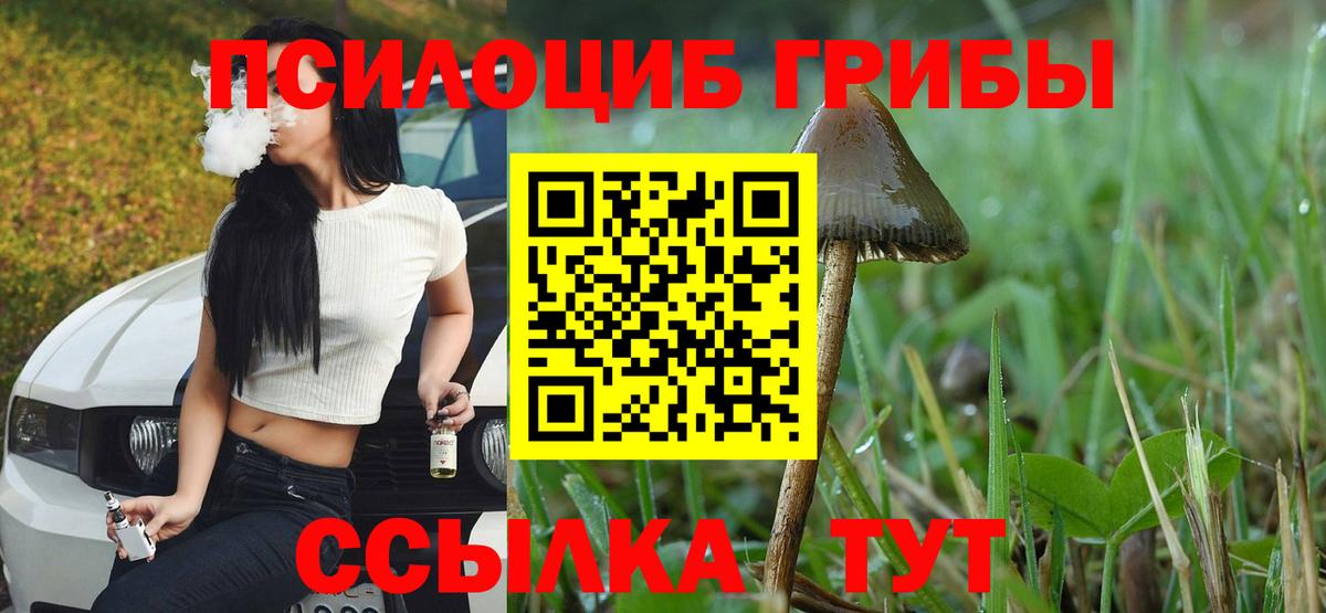 цены наркотик  Вход с VPN  Усть-Джегута  Галлюциногенные грибы Psilocybe 