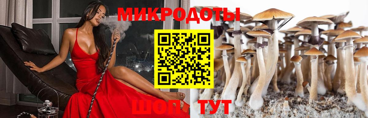 Псилоцибиновые грибы GOLDEN TEACHER Усть-Джегута
